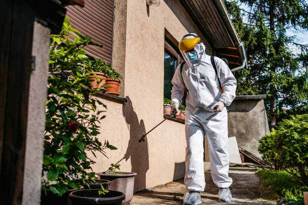 Best Pest Inspection Near Me  in White Hall, IL