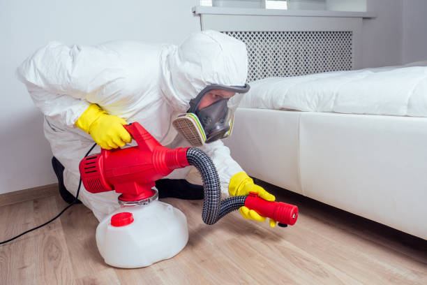 Best Local Pest Control Services  in White Hall, IL