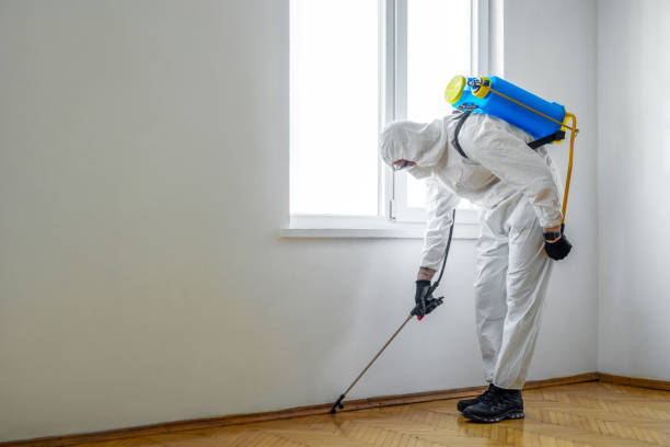 Best Pest Control for Restaurants  in White Hall, IL