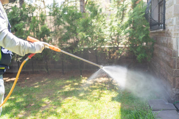 Best Best Pest Control Companies  in White Hall, IL