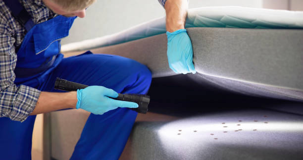 Best Wasp Removal Services  in White Hall, IL