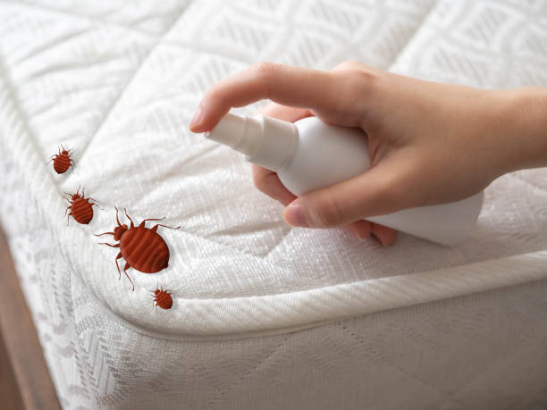 Best Cockroach Control Services  in White Hall, IL