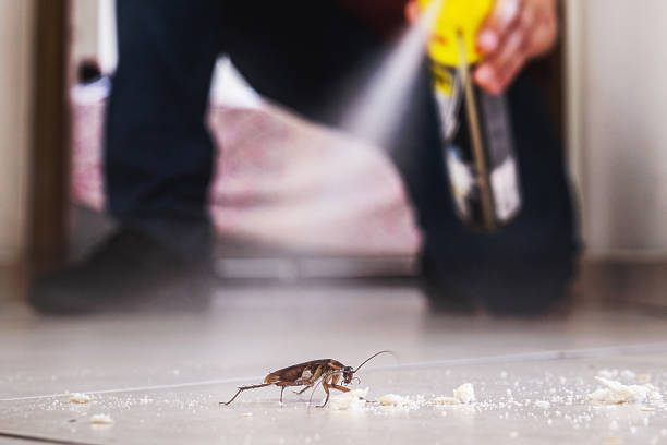 Best Cockroach Control Services  in White Hall, IL