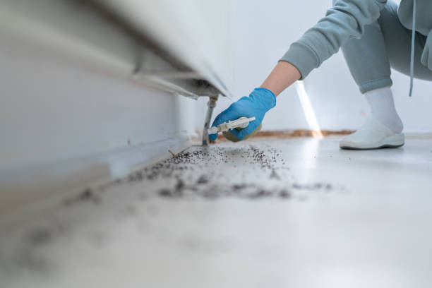 Best Residential Pest Control  in White Hall, IL