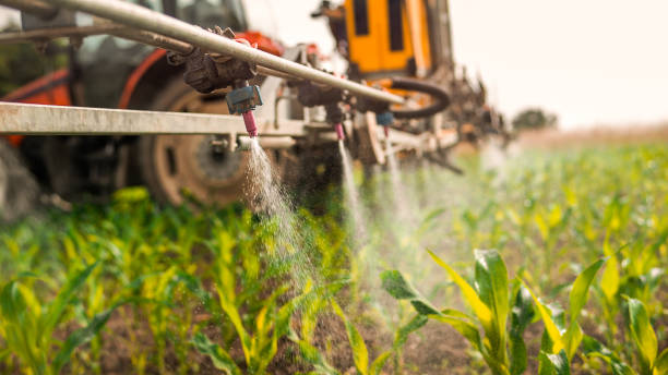 Pest Control Cost in White Hall, IL