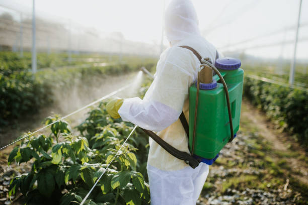 Best Emergency Pest Control  in White Hall, IL